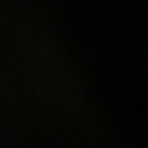 Meet your Posher, Dustin